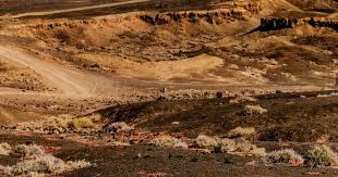 凯莱赫：萨拉赫训练中的进球摧毁我的信心，他是最努力的球员